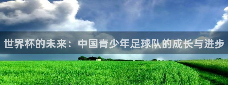 虫虫漫画里的都是什么