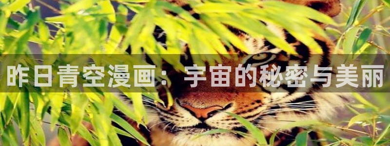 免费虫虫漫画网站入口