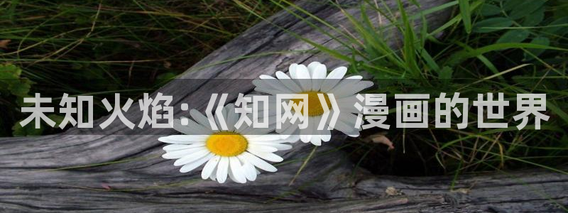 韩国虫虫漫画：未知火焰:《知网》漫画的世界