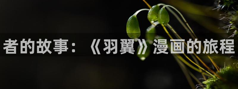 虫虫漫画在线免费看：者的故事：《羽翼》漫画的旅程